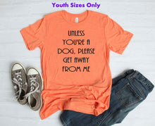 Load image into Gallery viewer, Unless You're a Dog, Please Get Away From Me Youth and Adult Unisex T-Shirt or Sweatshirt