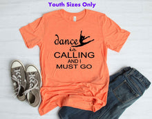Load image into Gallery viewer, Dance is Calling Youth and Adult Unisex T Shirt or Sweatshirt