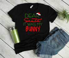Load image into Gallery viewer, Dear Santa It was my Bunny Youth or Adult T Shirt &amp; Sweatshirt