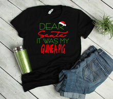 Load image into Gallery viewer, Dear Santa It was my Guinea Pig Youth or Adult T Shirt &amp; Sweatshirt