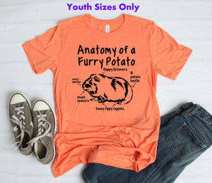Anatomy of a Furry Potato (Guinea Pig) Youth & Adult Unisex T-Shirt