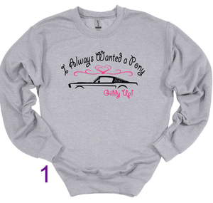 I Always Wanted a Pony Adult Unisex T-Shirt