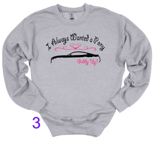 I Always Wanted a Pony Adult Unisex T-Shirt