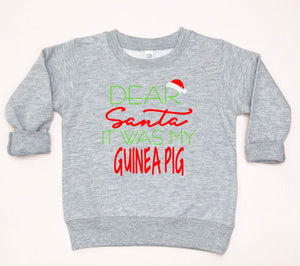Dear Santa It was my Guinea Pig Infant Bodysuit & Toddler T Shirt & Sweatshirt