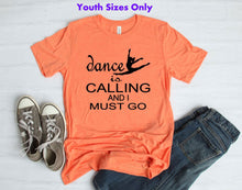 Load image into Gallery viewer, Dance is Calling Youth &amp; Adult Unisex T Shirt